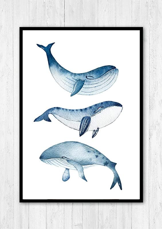 Poster Wale - Walfreunde