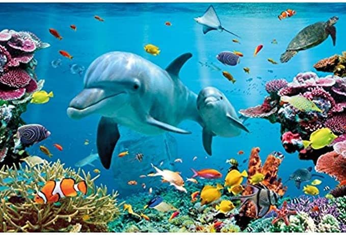 Delfin Poster