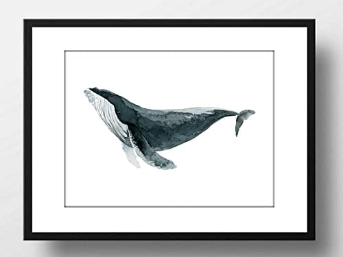 Poster Blauwal Aquarell