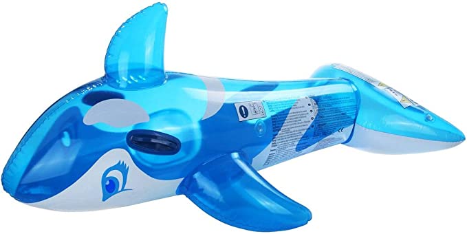 Schwimmtier Delfin
